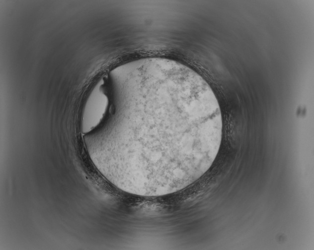 X0000094450742200712061200