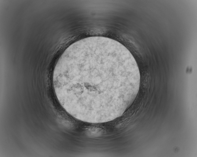 X0000094450743200712061200