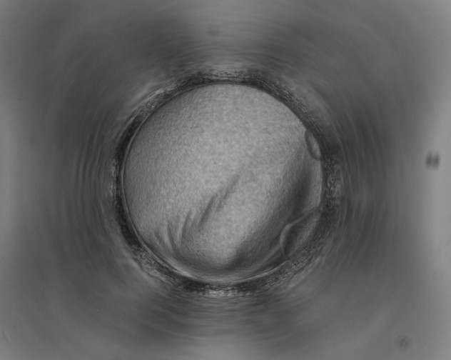 X0000094450744200712061200