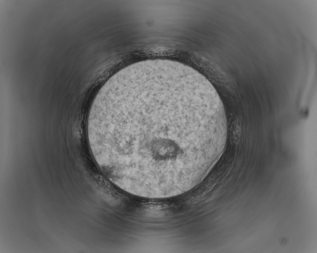 X0000094450746200712061200