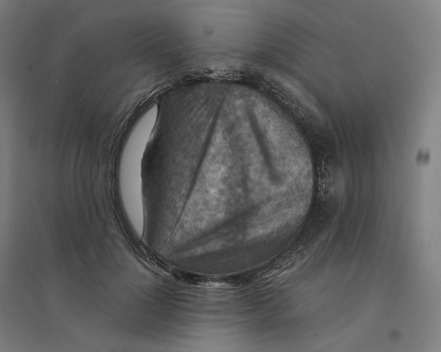 X0000094450748200712061200