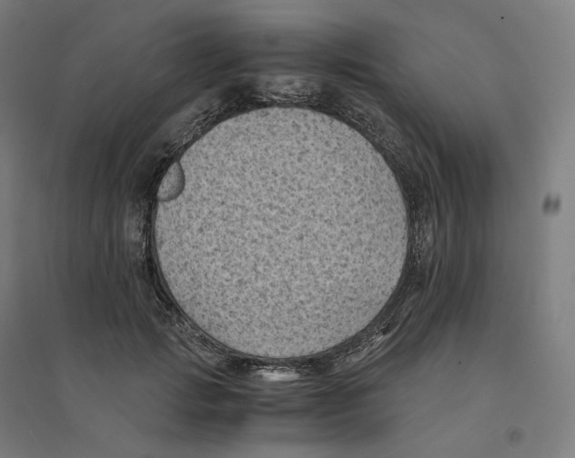 X0000094450749200712061200