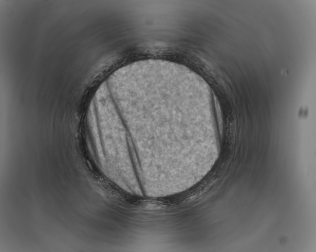 X0000094450750200712061200