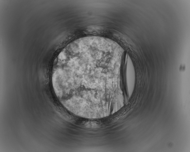 X0000094450751200712061200