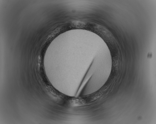 X0000094450752200712061200