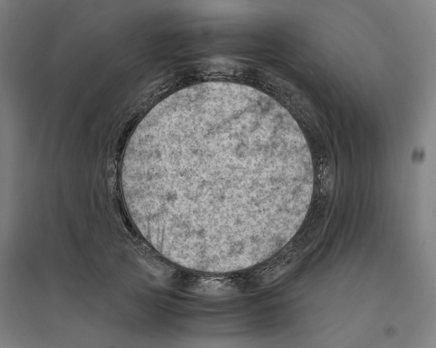 X0000094450753200712061200