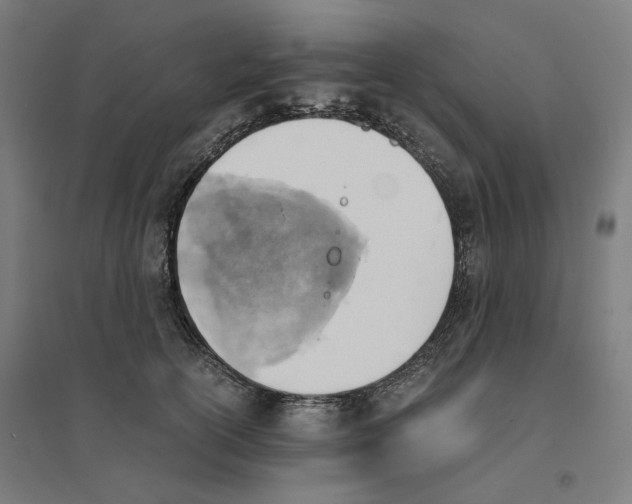 X0000094450754200712061200