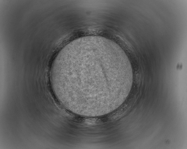 X0000094450757200712061200