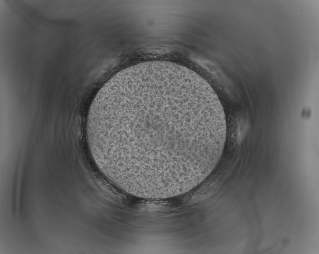 X0000094450758200712061200