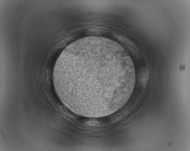 X0000094450759200712061200