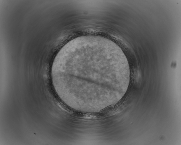 X0000094450760200712061200