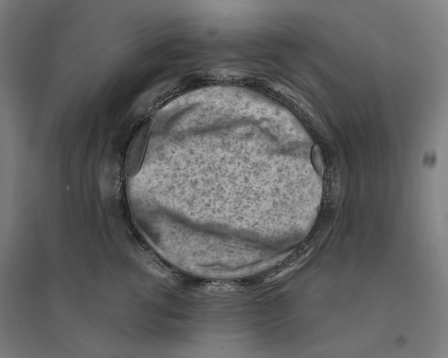 X0000094450762200712061200