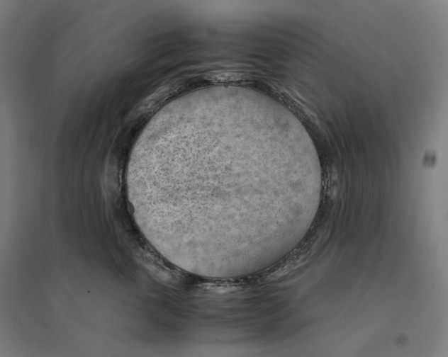 X0000094450763200712061200