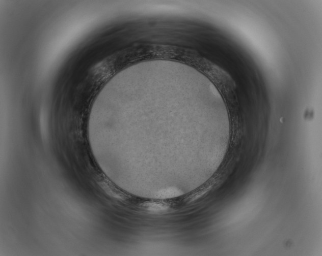 X0000094450765200712061200