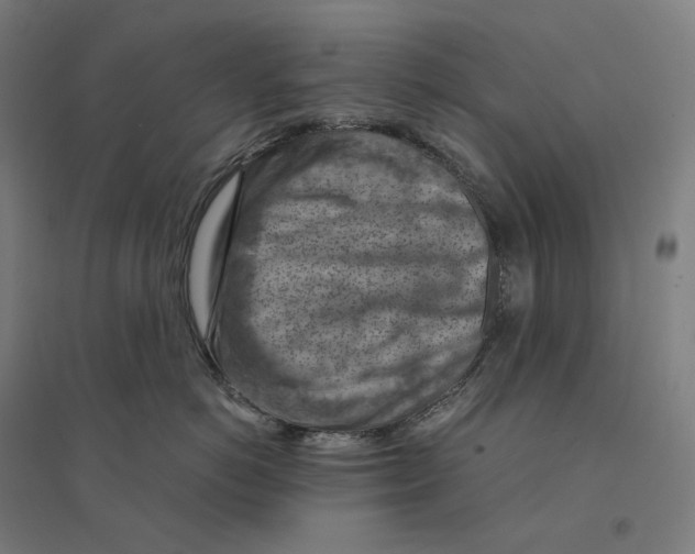 X0000094450766200712061200