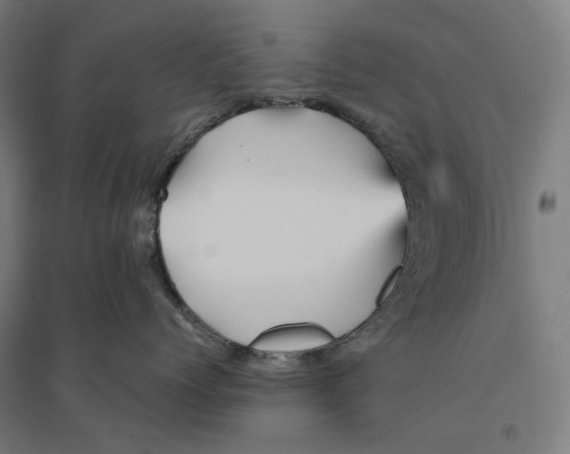 X0000094450768200712061200