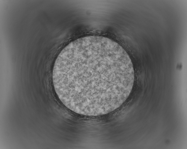 X0000094450769200712061200