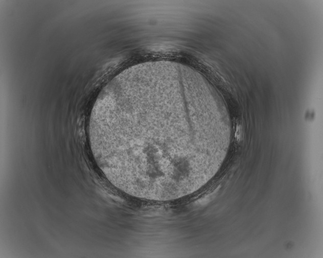 X0000094450771200712061159