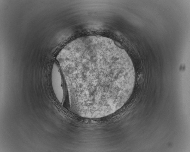 X0000094450772200712061159