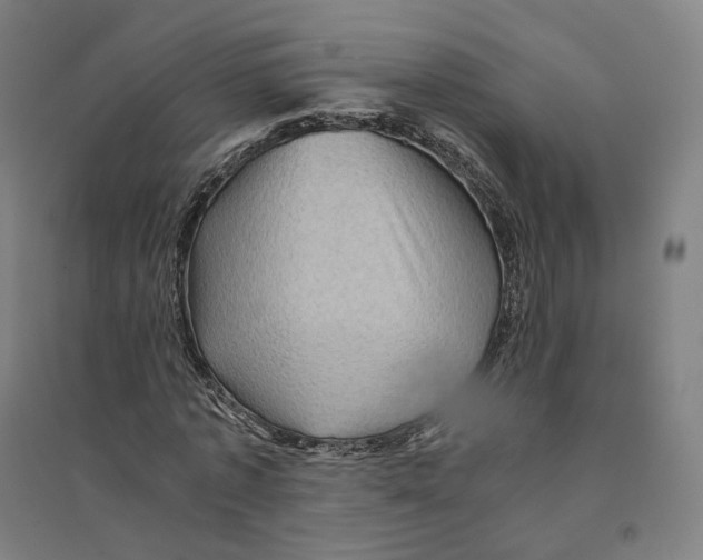 X0000094450773200712061159