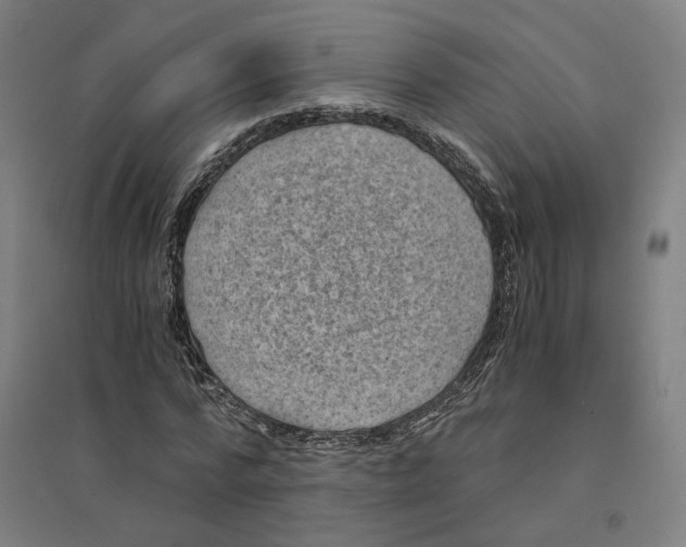 X0000094450776200712061159