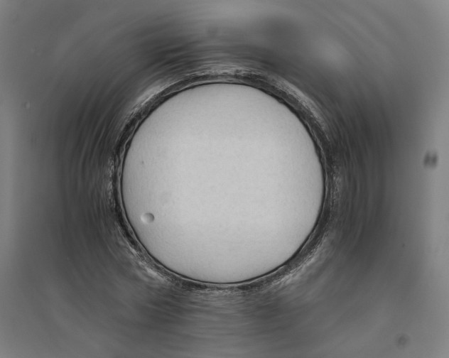 X0000094450778200712061159