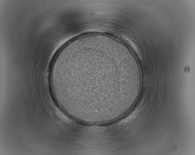 X0000094450779200712061159