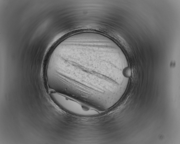 X0000094450780200712061159