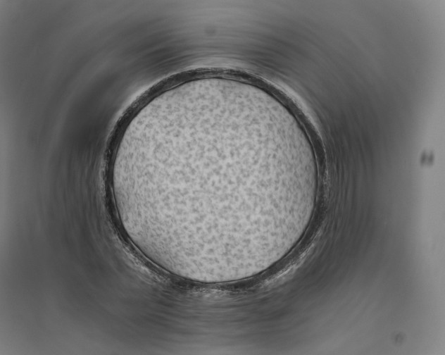 X0000094450783200712061159