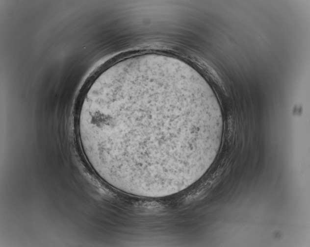 X0000094450784200712061159