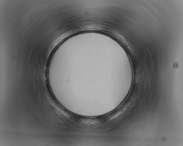 X0000094450786200712061159