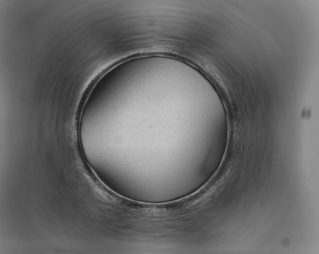 X0000094450789200712061159