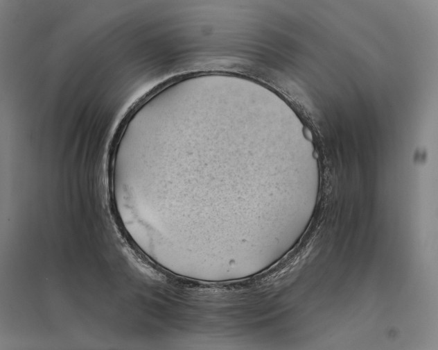 X0000094450792200712061159