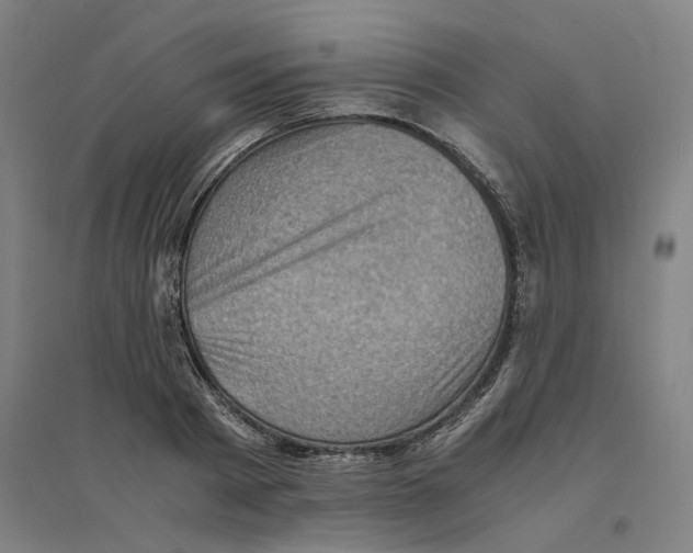 X0000094450793200712061159