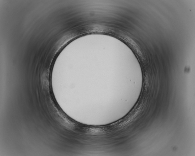 X0000094450794200712061159