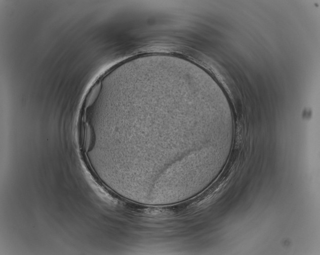 X0000094450795200712061159