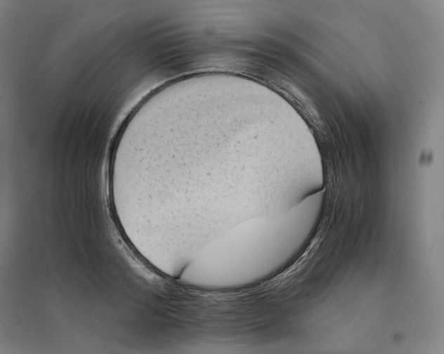 X0000094450796200712061159