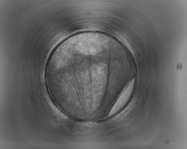 X0000094450797200712061159