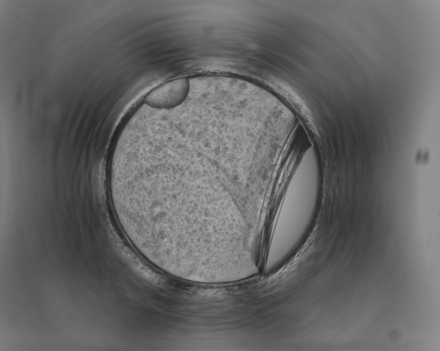 X0000094450798200712061159