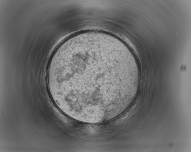 X0000094450799200712061159