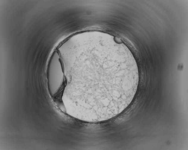 X0000094450800200712061159