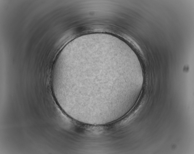 X0000094450801200712061159