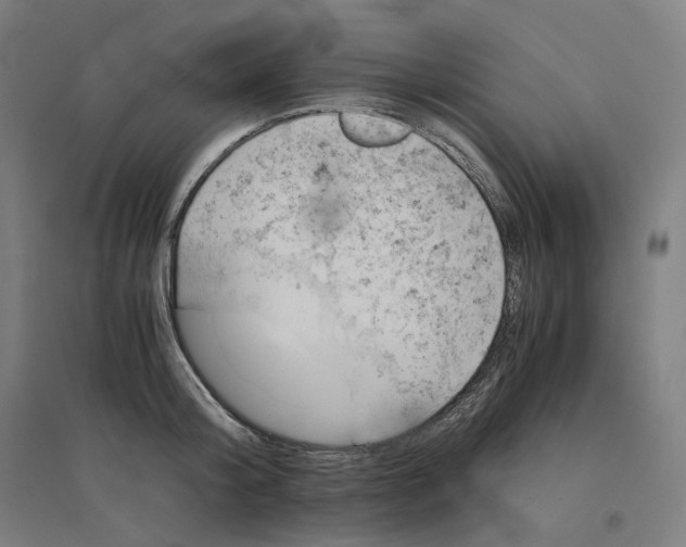 X0000094450804200712061159