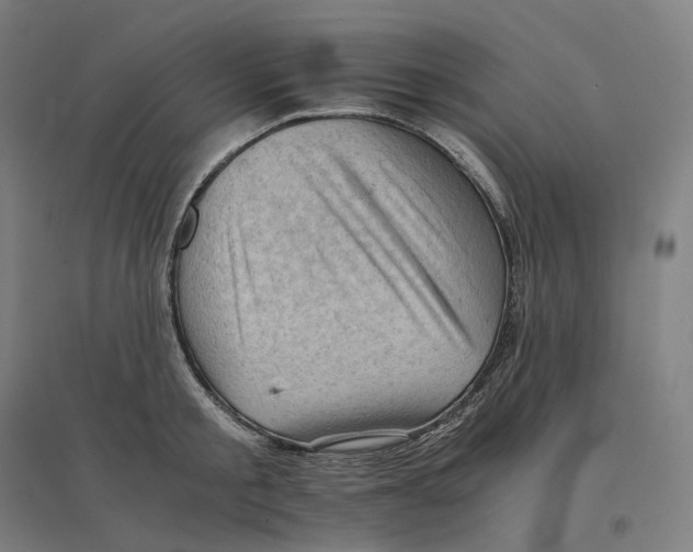 X0000094450805200712061159