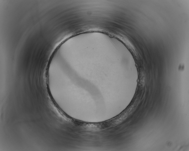 X0000094450806200712061159