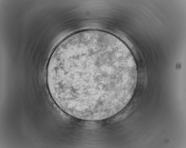 X0000094450807200712061159