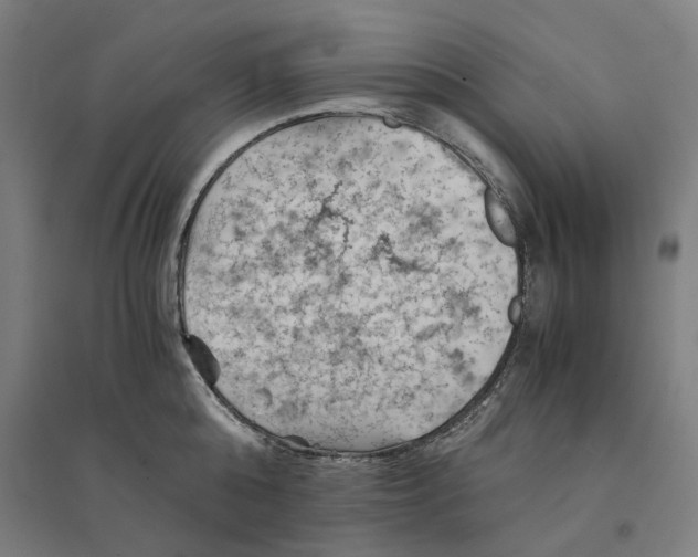 X0000094450808200712061159