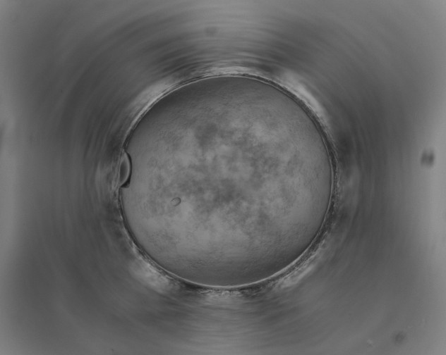 X0000094450809200712061159