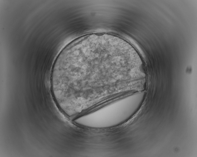 X0000094450810200712061159