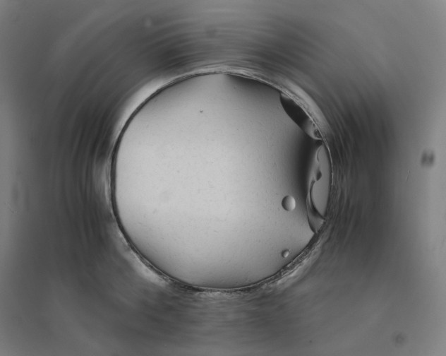 X0000094450812200712061159